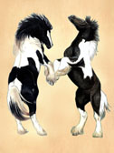 Gypsy Vanner, Equine Art - Play Fight Again